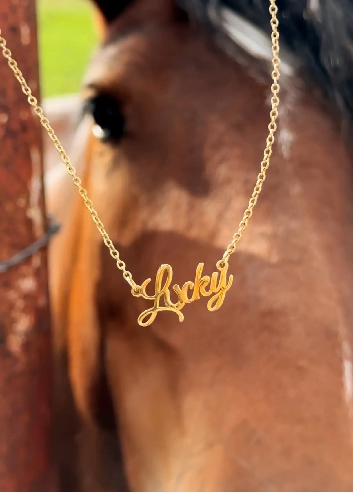 Lucky western necklace - Trend Tonic