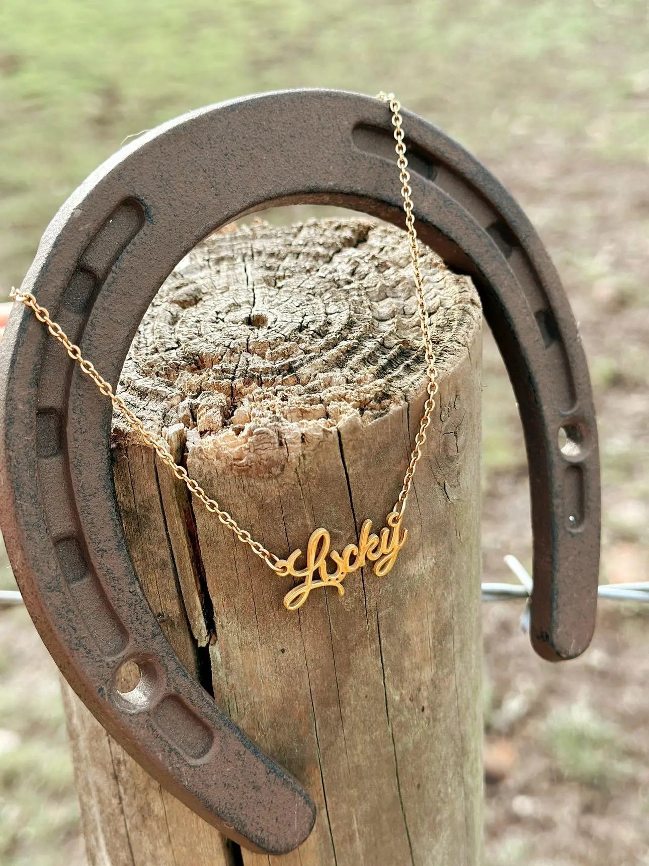 Lucky western necklace - Trend Tonic